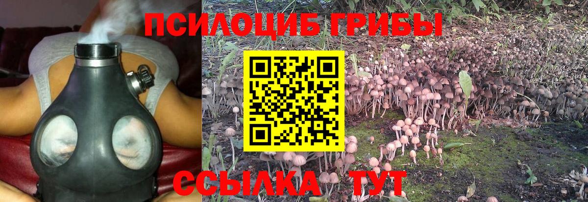 Гуково  Псилоцибиновые грибы MAGIC MUSHROOMS  Вход с VPN  Псилоцибиновые грибы мухоморы 